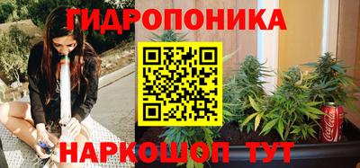 сатива Кулебаки