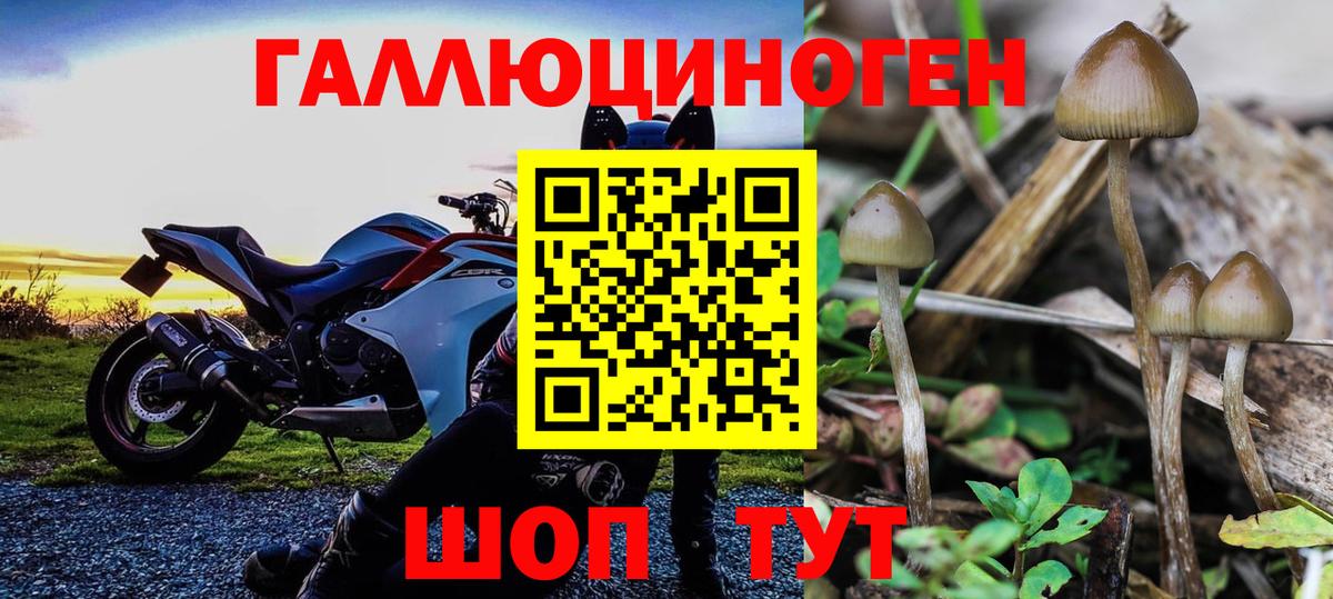Качканар  Галлюциногенные грибы мухоморы  Вход с VPN  Галлюциногенные грибы мухоморы 