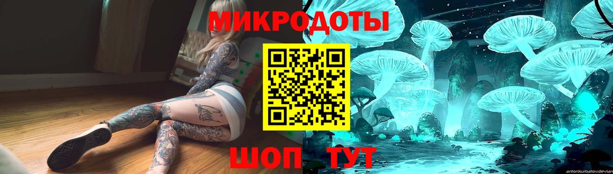 Галлюциногенные грибы Psilocybine cubensis Качканар