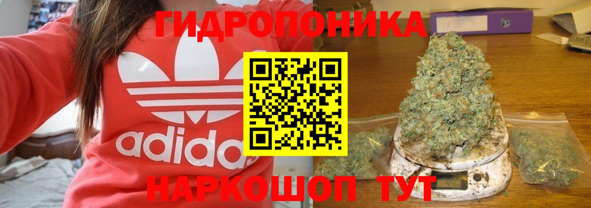 Качканар  Конопля AK-47  Вход с VPN  Конопля MAZAR  Бошки марихуана THC 21%  Шишки марихуана план 